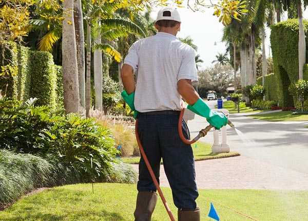 About Sodus Point NY Pest Control